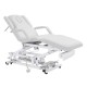 Table de massage électrique (3 moteurs)