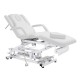 Table de massage électrique (3 moteurs)