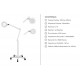 Détail lentille 3 dioptries et zone 6 dioptries lampe loupe Weelko 1001AWEELKO EXPAND 1001A sur pied 5 roulettes